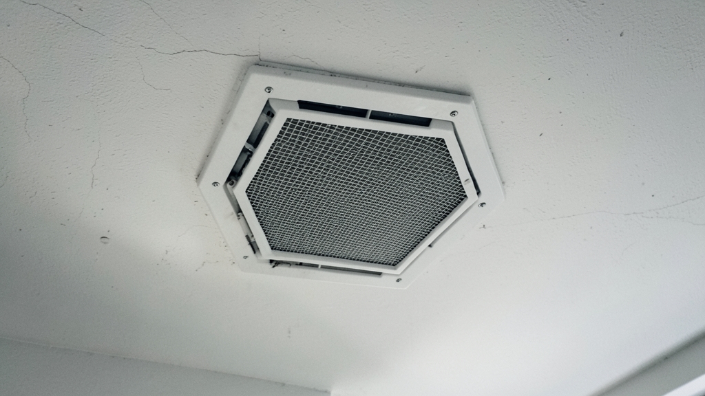 How Dust, Pollen, and Mold Build Up in Your HVAC in Ashland